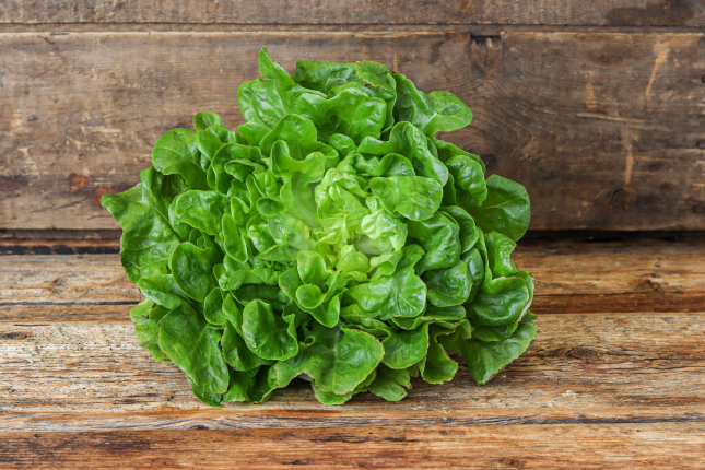 green oakleaf lettuce